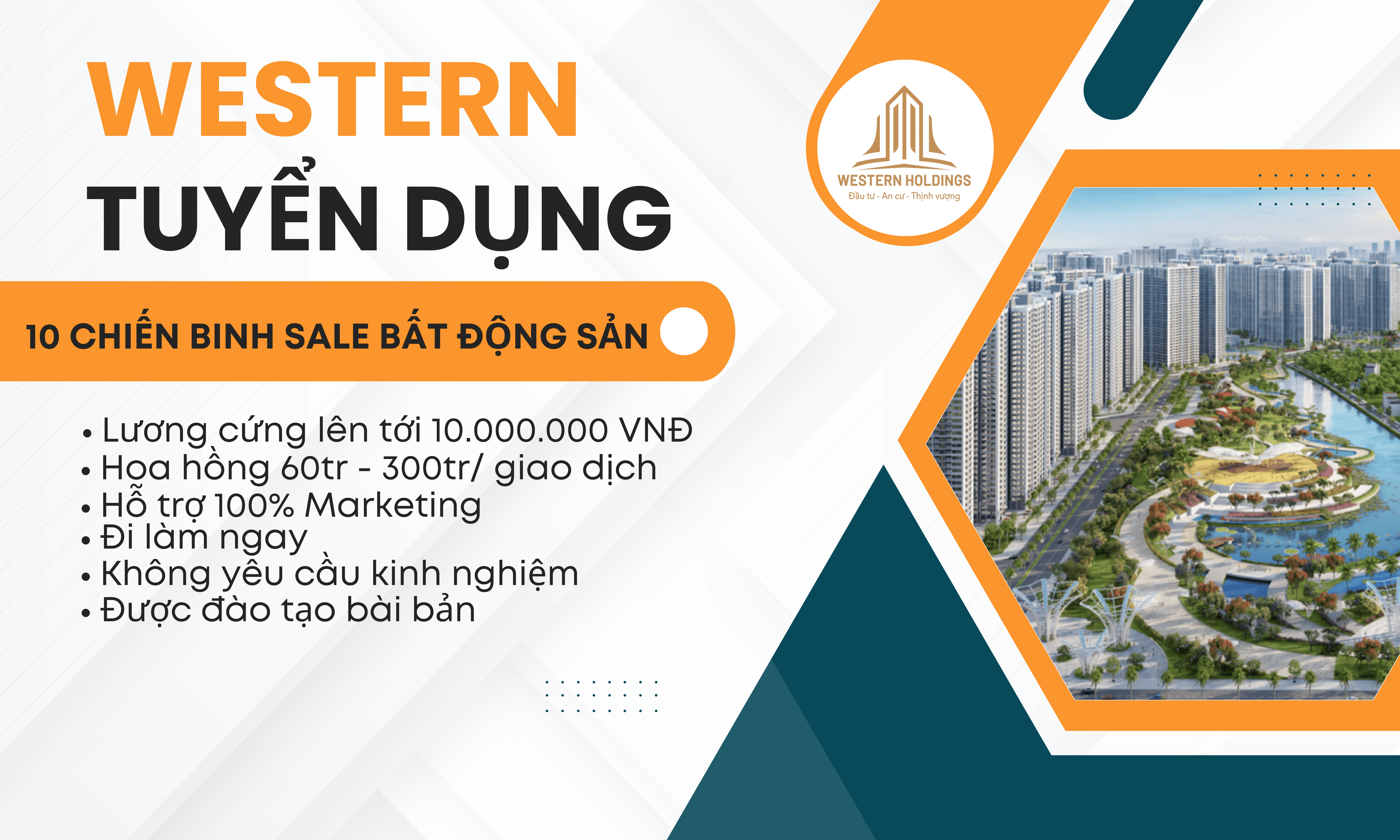lĩnh vực hoạt động